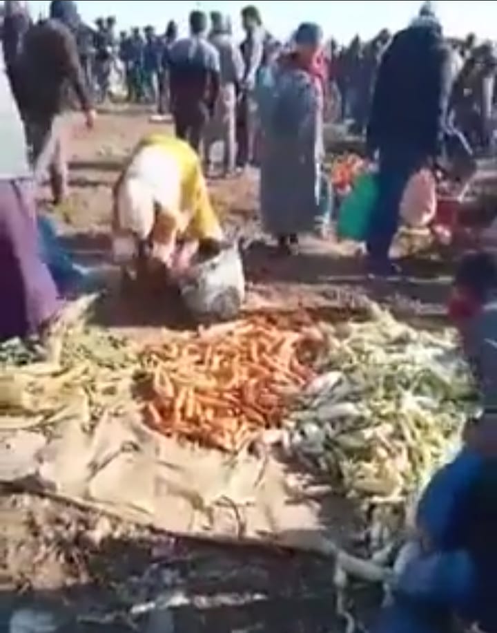 القنيطرة : مشاهد ووقائع نهب نشل وفوضى بالسوق الأسبوعي “أحد اولاد جلول”