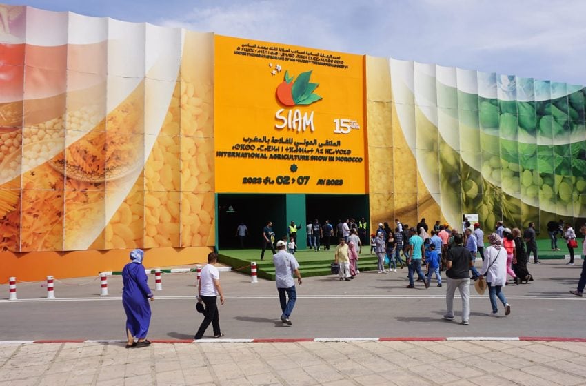 الصحافة الجهوية  فاس مكناس تقصف إدارة وشركة التواصل بالمعرض الدولي للفلاحة بسبب المحسوبية والزبونية