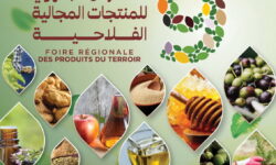 تازة تحتضن الدورة 9 للمعرض الجهوي للمنتجات المجالية