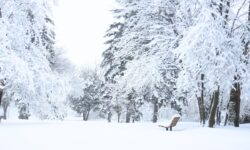 مقاييس التساقطات الثلجية بإقليم تازة.. ارتفاع ملحوظ ببويبلان وباب بودير