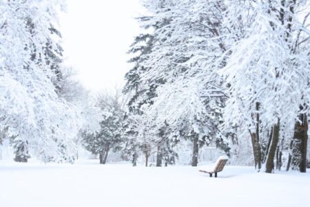 مقاييس التساقطات الثلجية بإقليم تازة.. ارتفاع ملحوظ ببويبلان وباب بودير