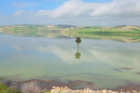 بعد مرحلة حرجة.. سد إدريس الأول يقترب من طاقته العادية