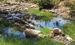 بتازة..واد للصرف الصحي يؤرق ساكنة حي القدس والمسيرة 2 ويهدد الصحة العامة
