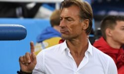 هيرفي رونار مدربا جديدا للمنتخب التونسي لكرة القدم